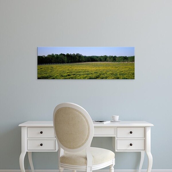 Easy Art Prints Panoramic Images's 'Fence along a field, Johnson County, Illinois, USA' Premium Canvas Art