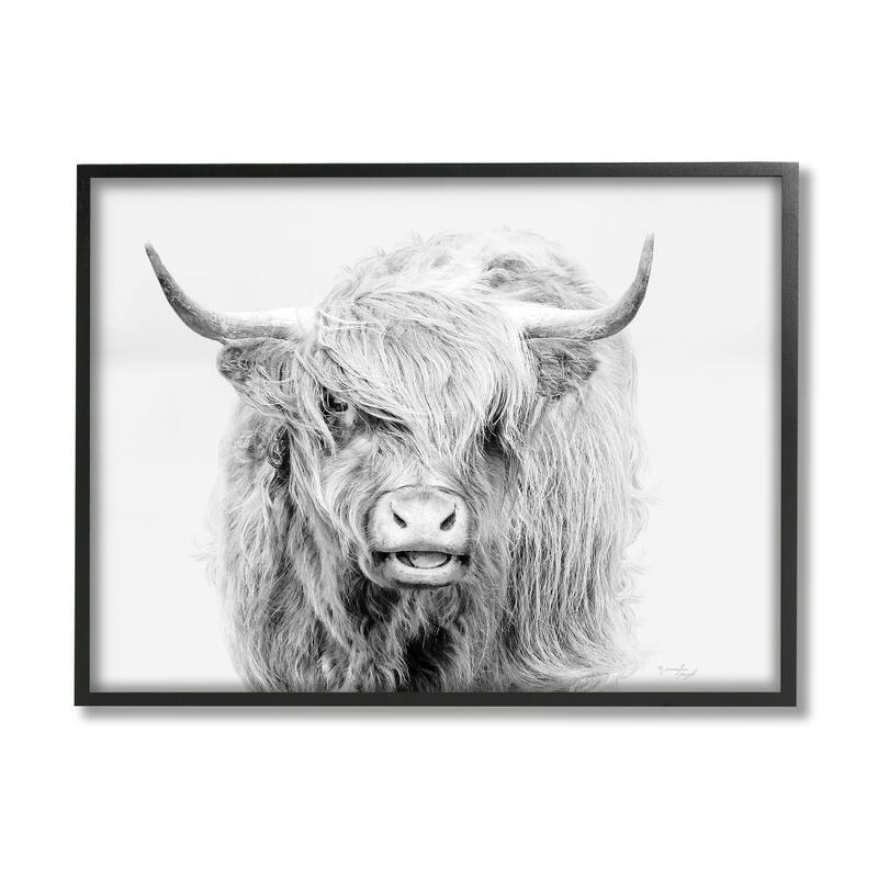 Stupell Expressive Highland Cattle Monochrome Animal Portrait Framed Wall Art, Design by Jennifer Pugh - 20 x 16 - Black