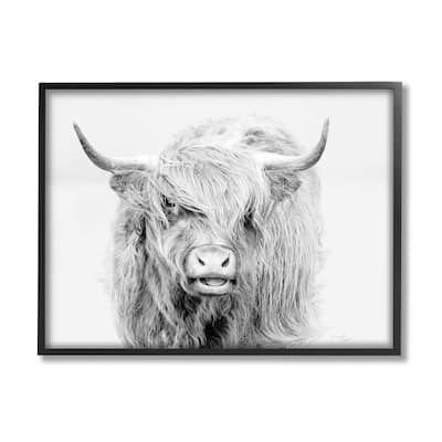 Stupell Expressive Highland Cattle Monochrome Animal Portrait Framed Wall Art, Design by Jennifer Pugh