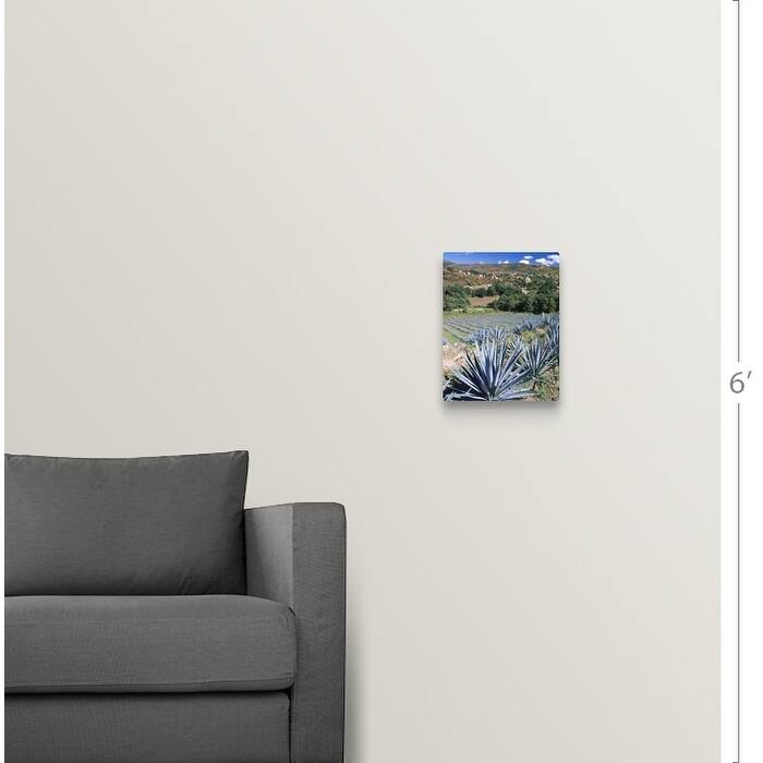 "Tequila Agave Cultivation Mexico" Canvas Wall Art