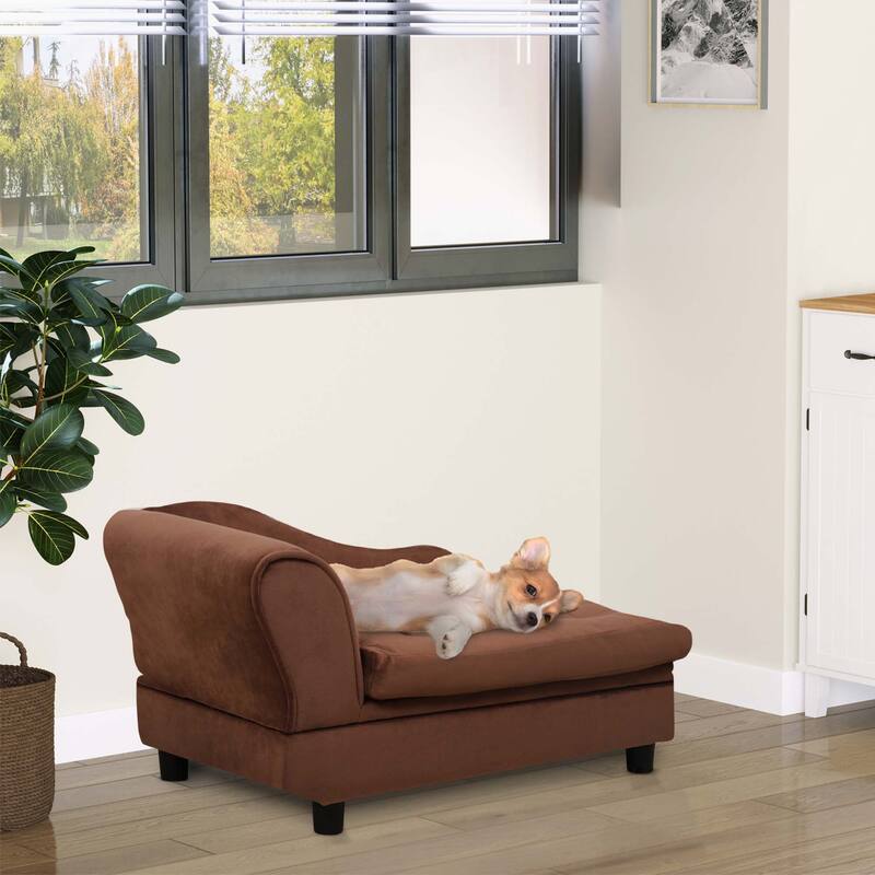 Fancy Dog Bed for Small Dogs
