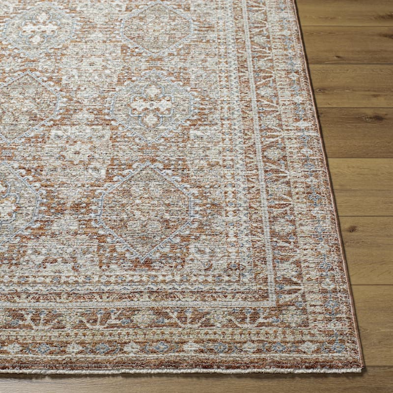 Anabelle Vintage Oriental Area Rug