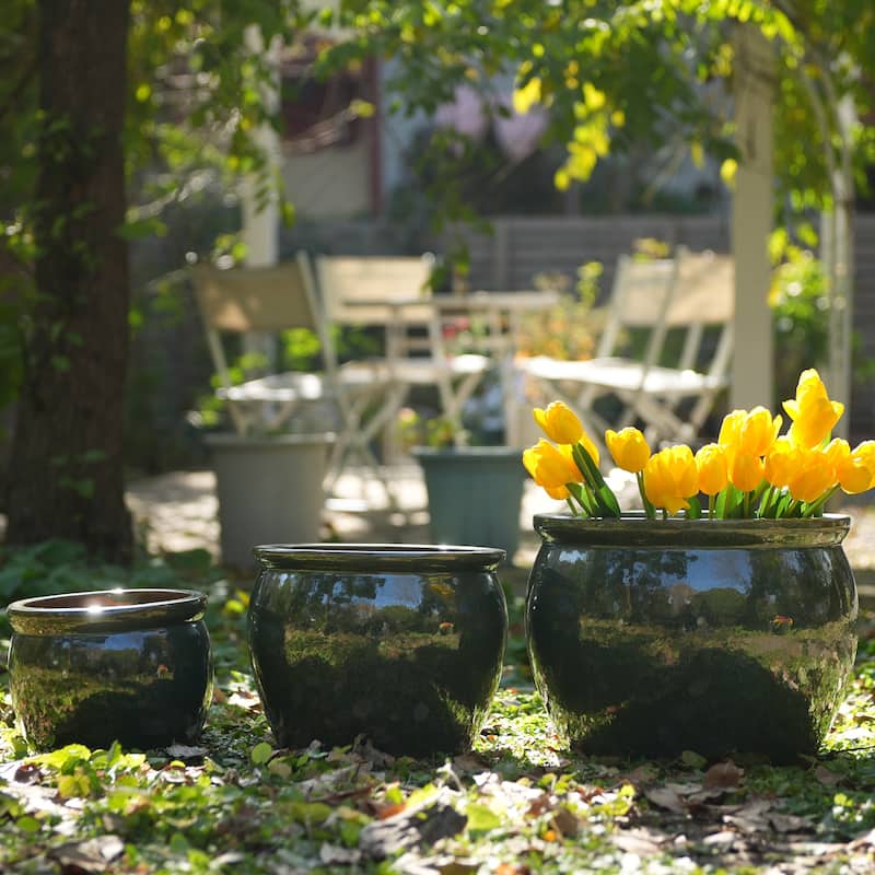 3 Handmade Ceramic Planter set Glossy Glaze for Succulent and Flower