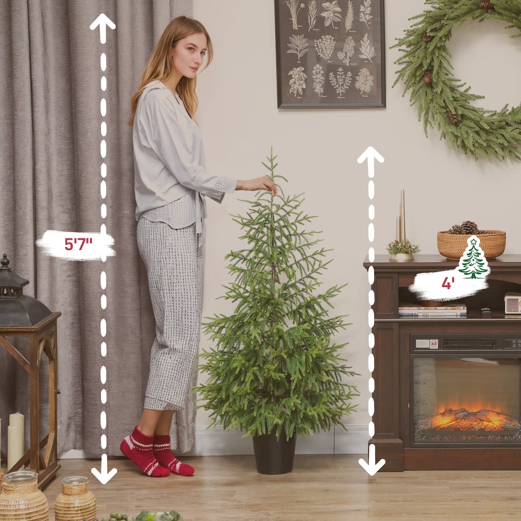 HOMCOM 2-Pack Artificial Xmas Tree: 4ft, 133 Tips, Pot Base, Easy Assembly, Green
