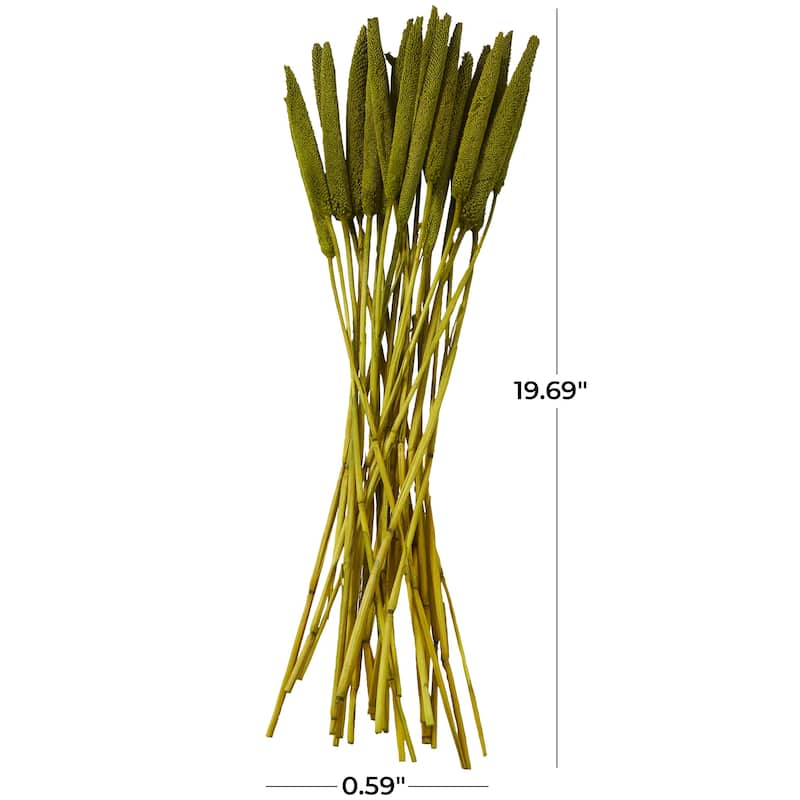 Dried Plant Bunny Tail Home Decor Natural Foliage - White, Red, Dark Brown, Orange, Green, Pink, Yellow - Roche River Decor