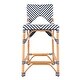 preview thumbnail 3 of 29, Creanly 25.25"H Seat Rattan Counter Stool with Back