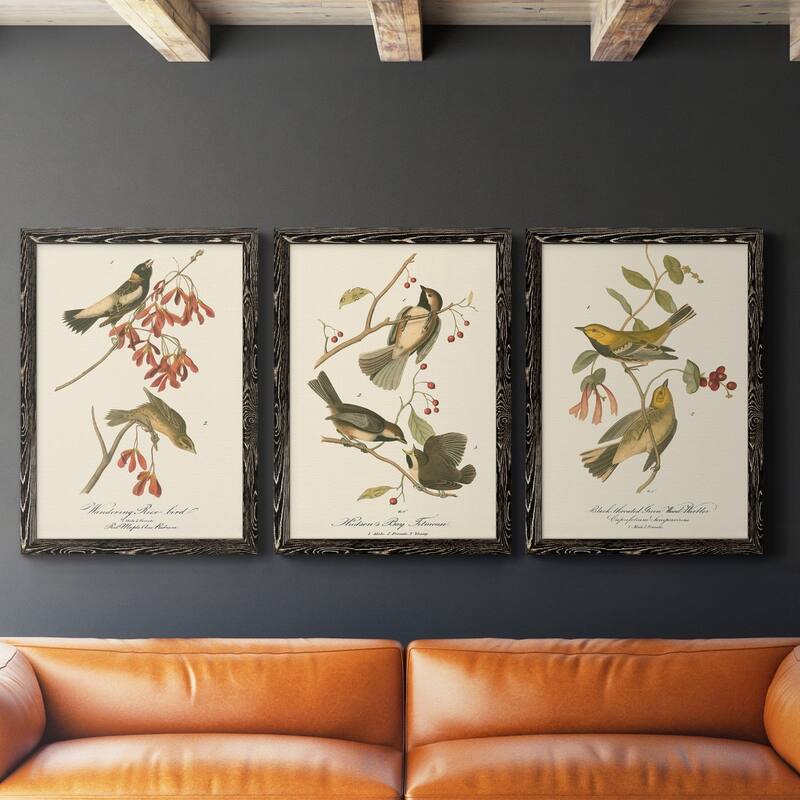 Wandering Rice Bird-Premium Framed Canvas - Ready to Hang - Multi-Color