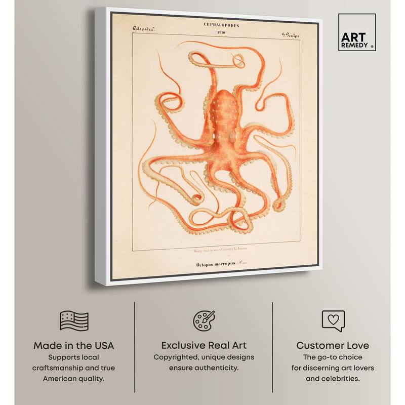 Verany The Octopus 1815 I Canvas by Art Remedy