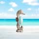 Option Single Sea Horse