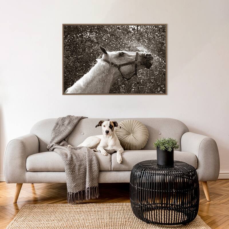 After a Shower by Jim Dratfield Framed Canvas Wall Art Print