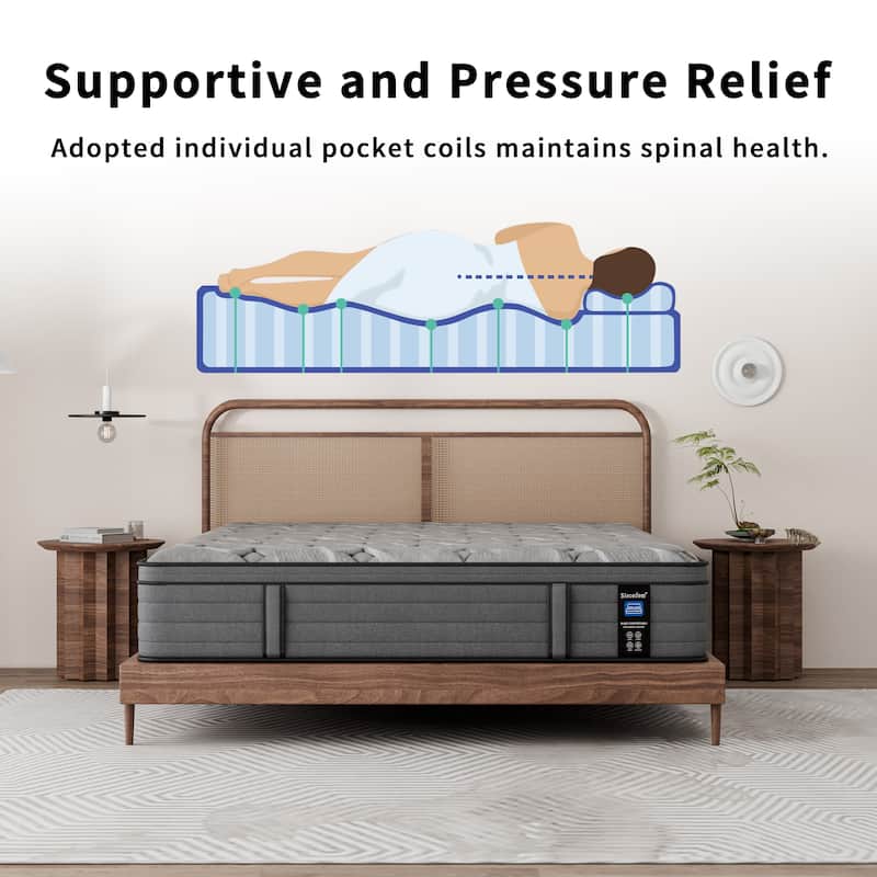 Modland 14-inch Hybrid Medium Euro Top Mattress, Pocket Spring Mattress in a Box