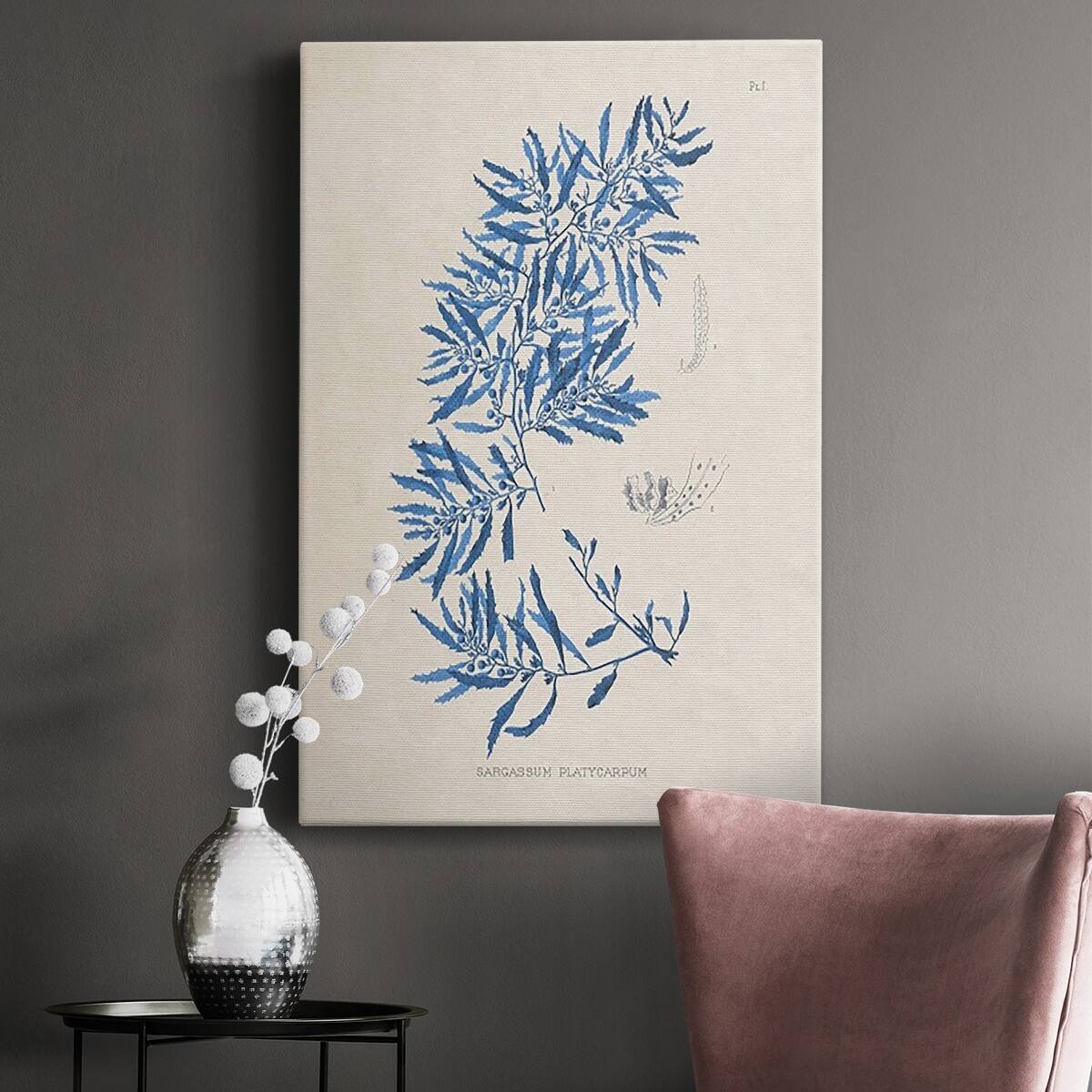 Blue Marine Algae III Premium Gallery Wrapped Canvas Ready to Hang