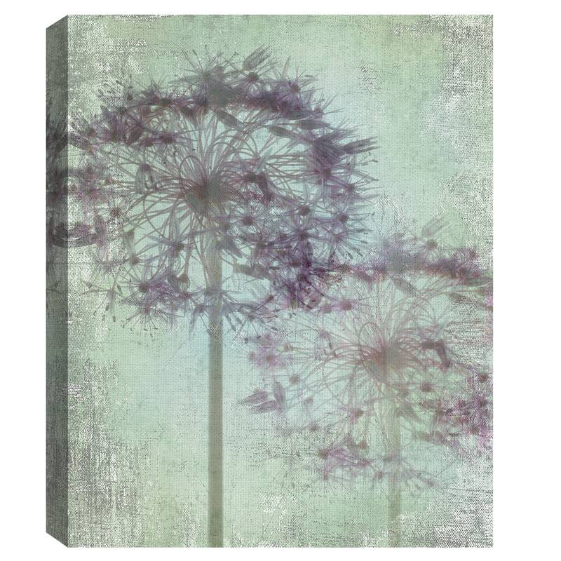 Allium Globe by Judy Stalus Canvas Art Print