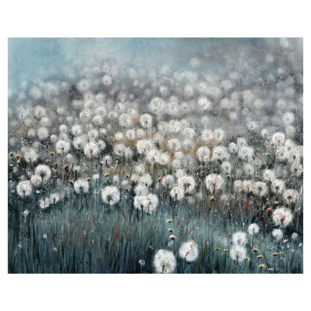 Field of Dreams by Sandy Doonan Canvas Art Print