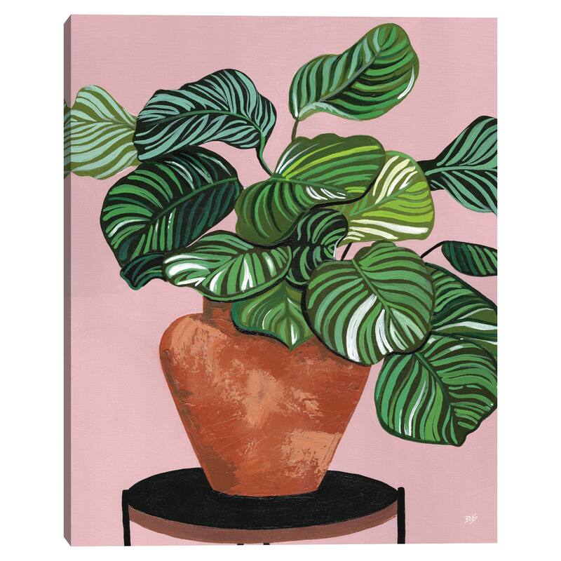 Calatheas Canvas Art Print