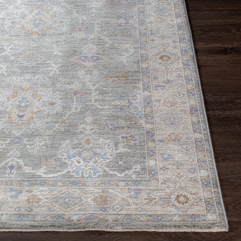 Hunza Updated Traditional Medallion Area Rug