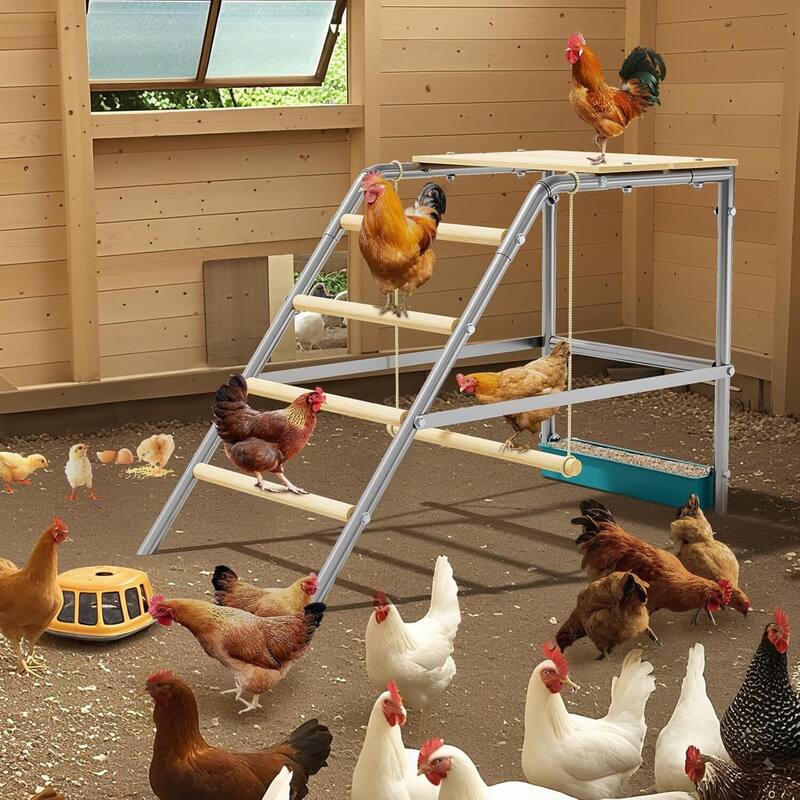 Chicken Perch for Coop for Backyard Farm Chickens in Coop
