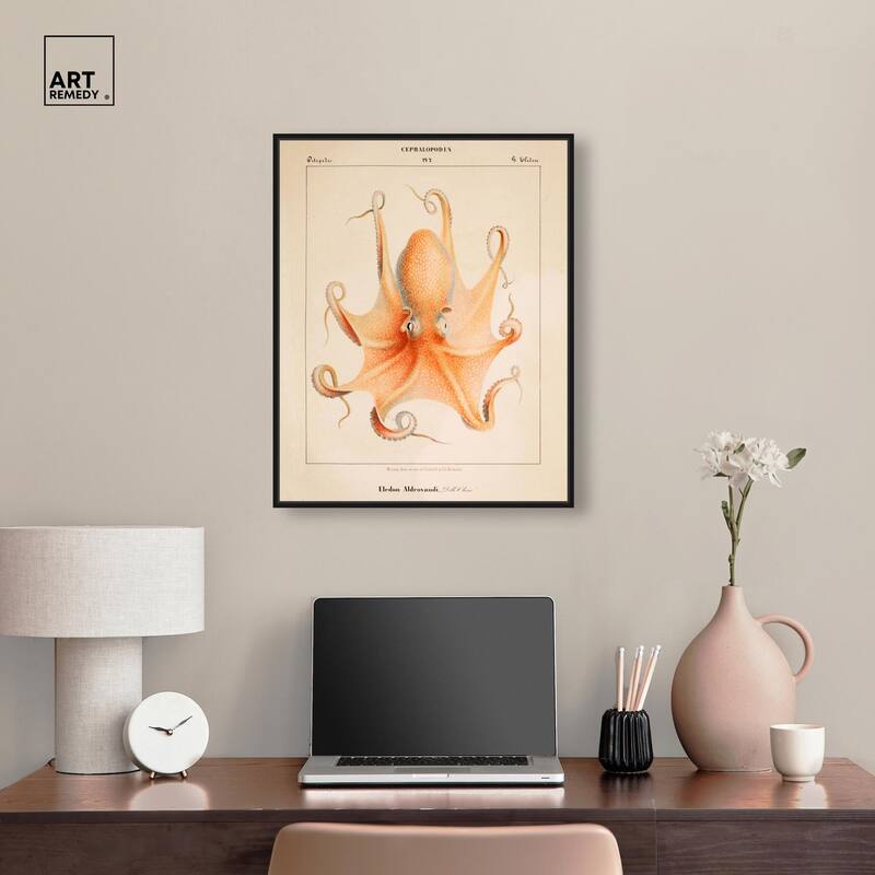 Verany The Octopus 1815 II Canvas by Art Remedy