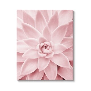 Stupell Pastel Pink Succulent Canvas Wall Art Design by Sisi and Seb ...