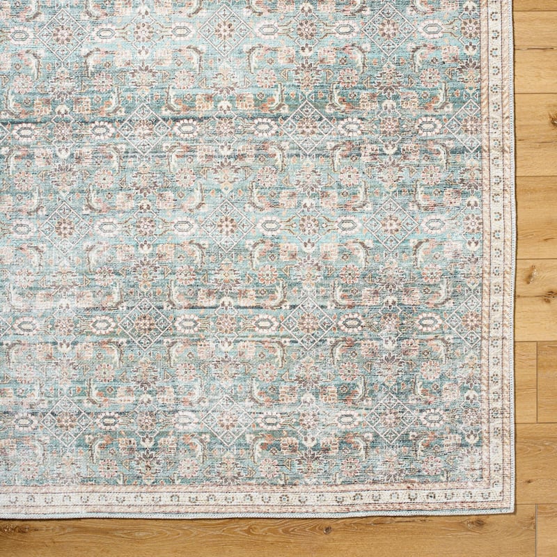 Livabliss Amelie Traditional Oriental Indoor/Outdoor Area Rug