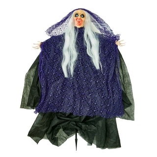 47" Halloween Light Up Eyes Witch on Stake with Purple Fish Net