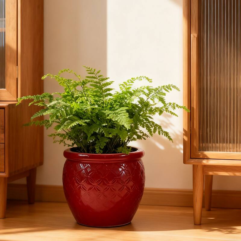 3 Handmade Ceramic Planter Set for Monstera Large Plants Glossy Finish