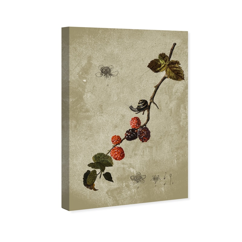 Wynwood Studio Canvas Floral and Botanical Botanical Raspberry Red and Scarlet Traditional Wall Art Canvas Print