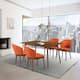 Option Orange & Walnut