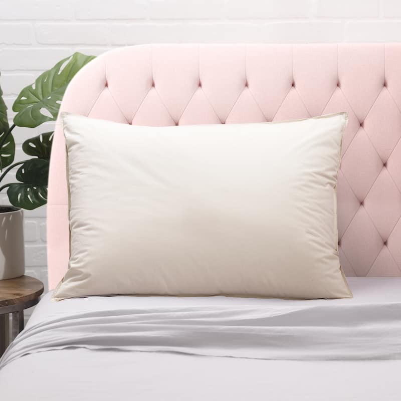 Allied Home Living Prime Feather Unbleached Cotton Pillow - Jumbo