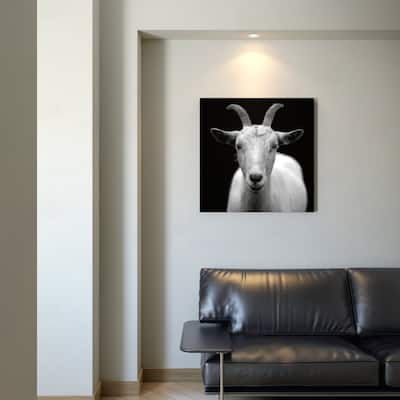 Billy 30x30 Black and White Goat Photography Gallery Wrapped Canvas