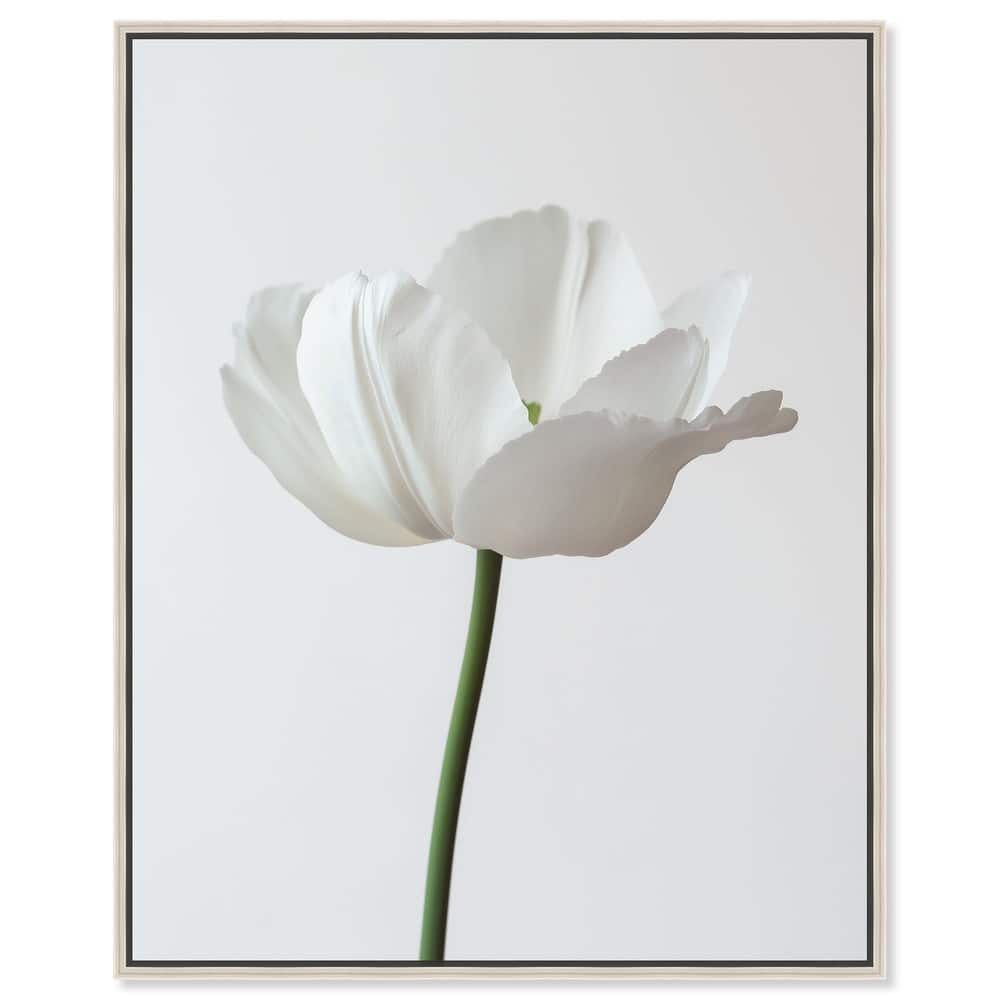 Pearl Floret Canvas by Art Remedy