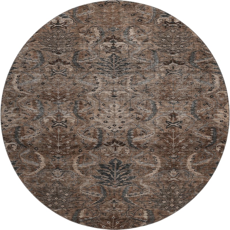 Premium Washable Super Soft Traditional Mayfield Rug