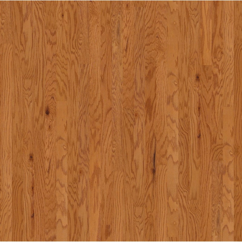 Shaw Albright Oak 3-1/4" Wide Smooth Engineered Red Oak Hardwood - Caramel