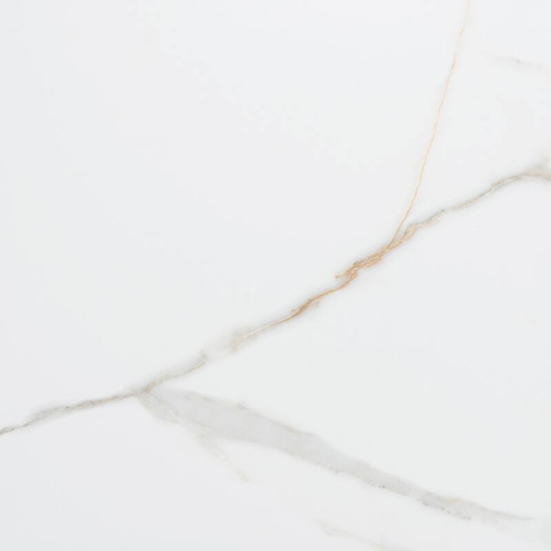 The Tile Life Chronos 13x13 White/ Gold Matte Porcelain Floor & Wall Tile
