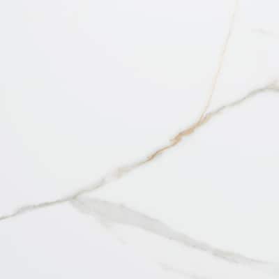 The Tile Life Chronos 13x13 White/ Gold Matte Porcelain Floor & Wall Tile