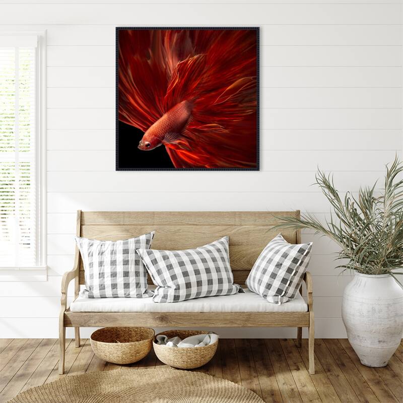 Red Fire Betta fish by Antonyus Bunjamin Framed Canvas Wall Art Print