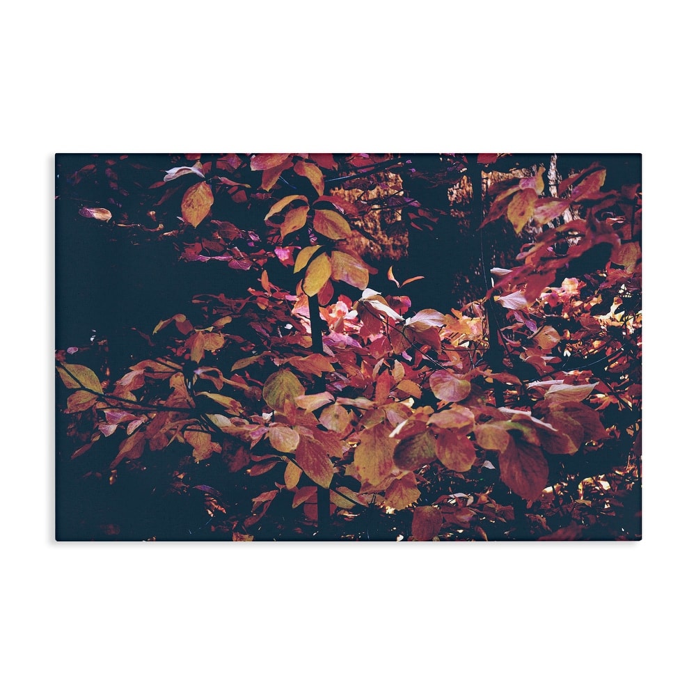 Stupell Dusky Forest Leaves Canvas Wall Art Design By Gemma Bardot