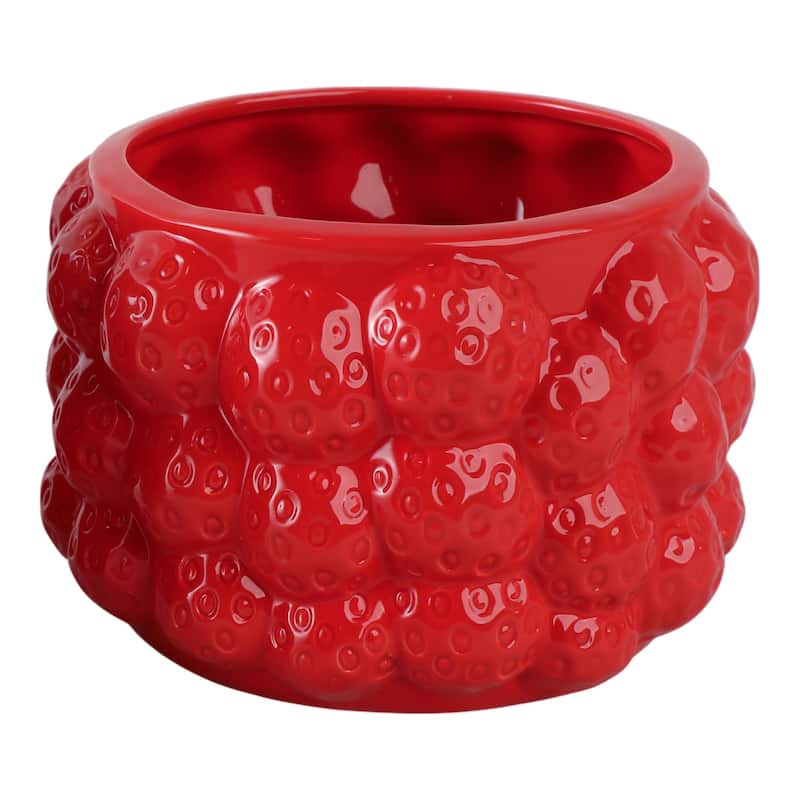 Textured Stoneware Ceramic Planter with Sculpted Bulbous Design