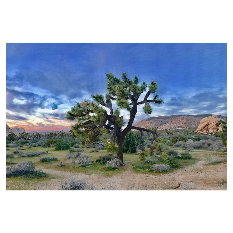 Joshua Tree Moment by James Carol Canvas Art Print