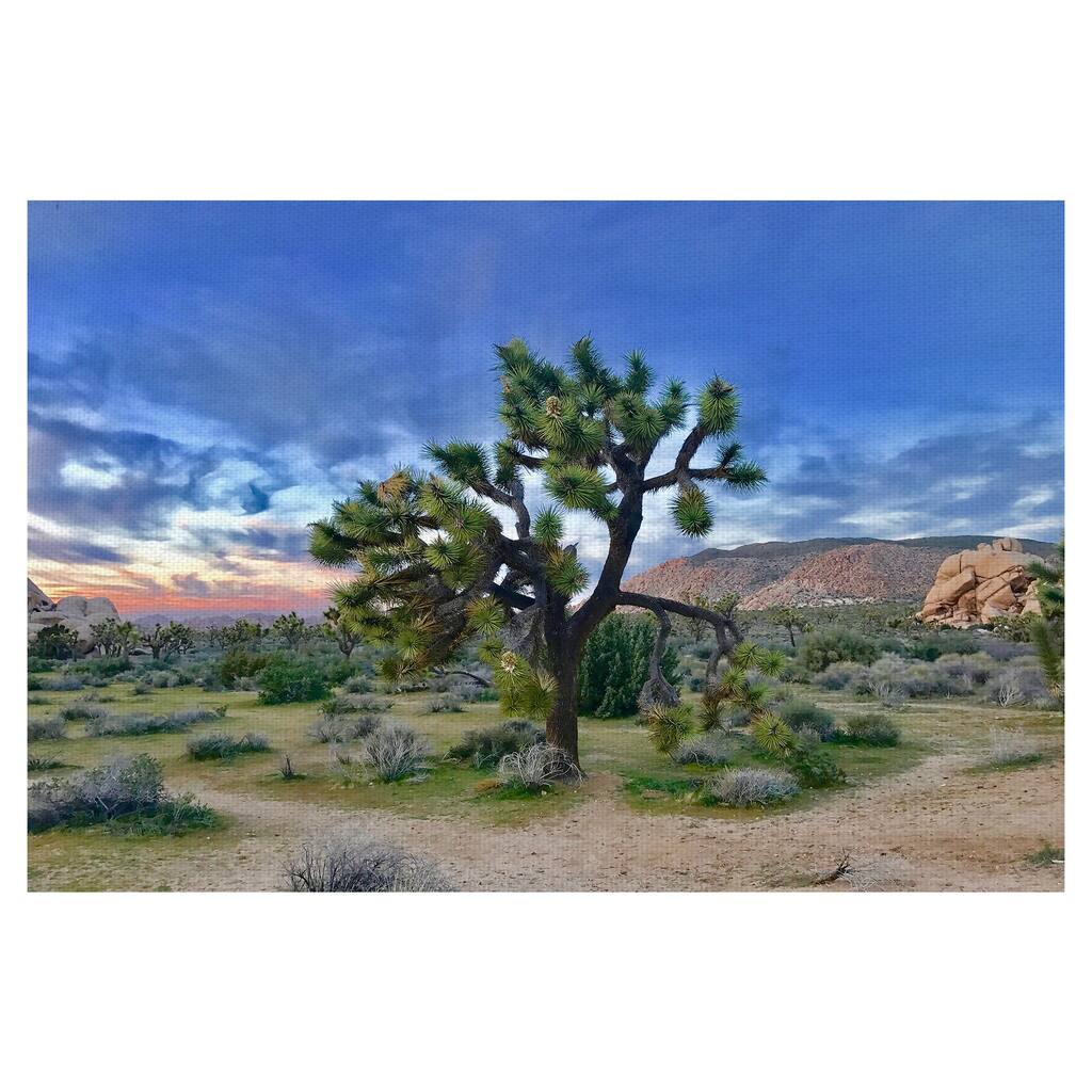 Joshua Tree Moment by James Carol Canvas Art Print
