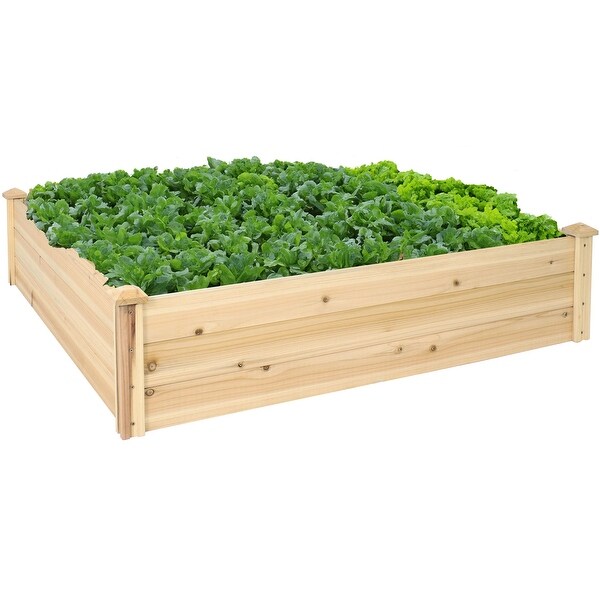 鉢・プランター NEIGHBORHOOD SRL . GARDEN BED / I-S Sunnydaze Outdoor Square Wood Raised Garden Bed - 48-Inch Square