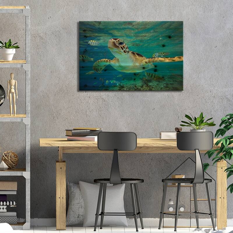 Green Sea Turtle, Balicasag Island, Philippines II Print On Wood by Tim Fitzharris - Multi-Color