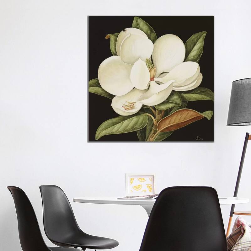 iCanvas "Magnolia Grandiflora, 2003 " by Jenny Barron Canvas Print - 37x37x1.5