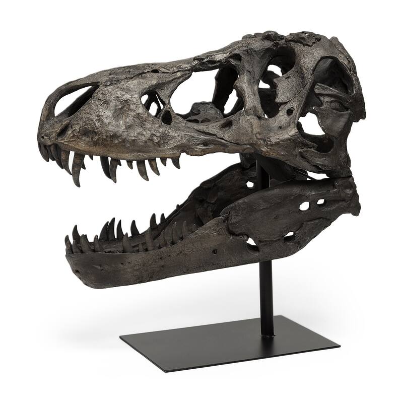 Authentic Replica T Rex Skull Sculpture - 11"W x 19"D x 20"H - 11"W x 19"D x 20"H - Brown
