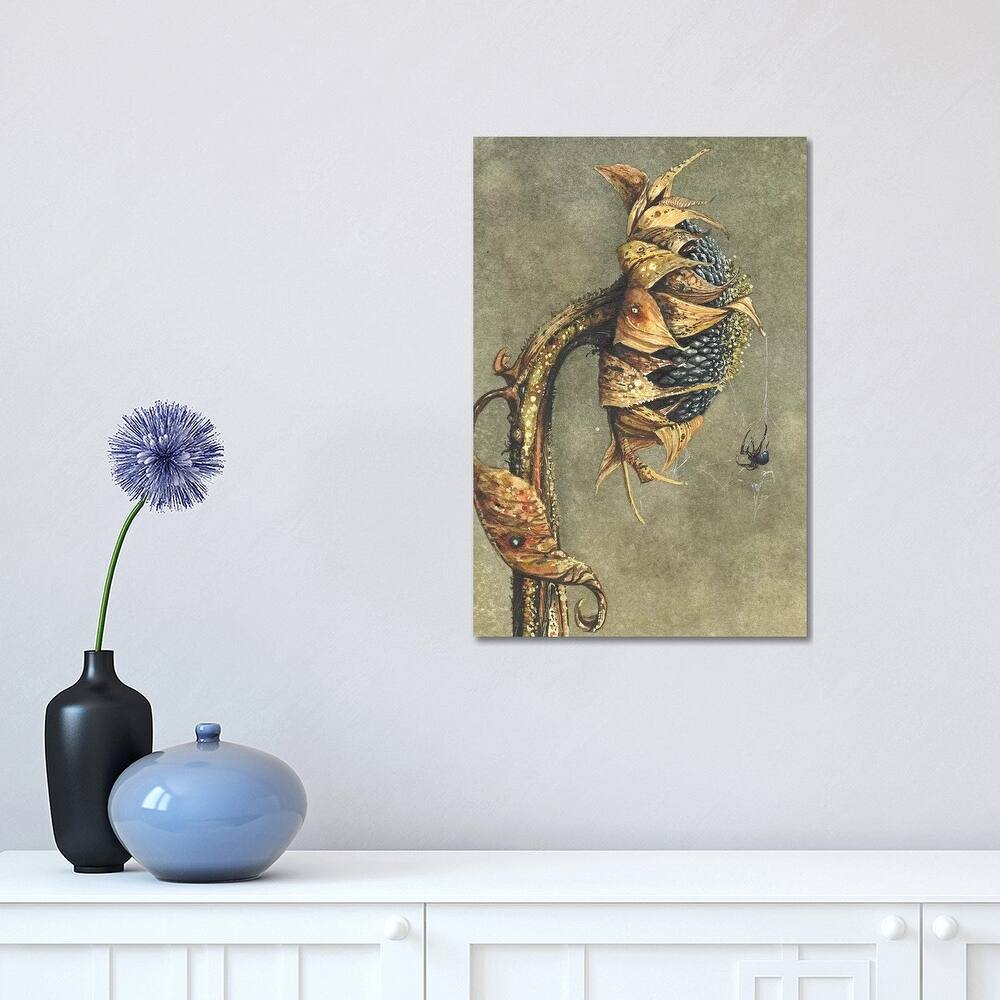 iCanvas "Along Came A Spider" by Maggie Vandewalle Canvas Print