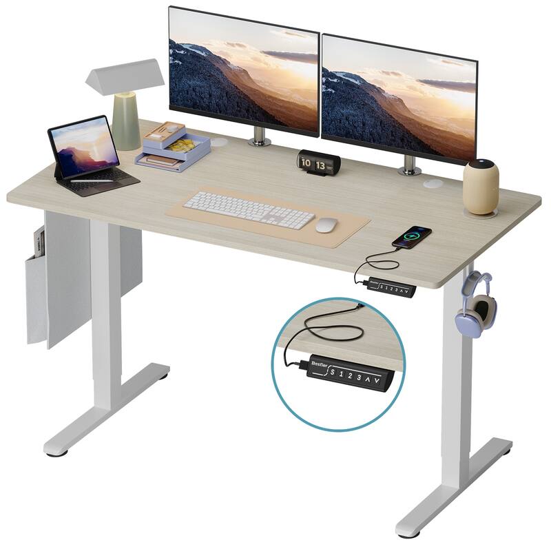 Standing Desk Electric Ergonomic Office Desk Computer Desk Height Adjustable Table with USB Port - White Oak