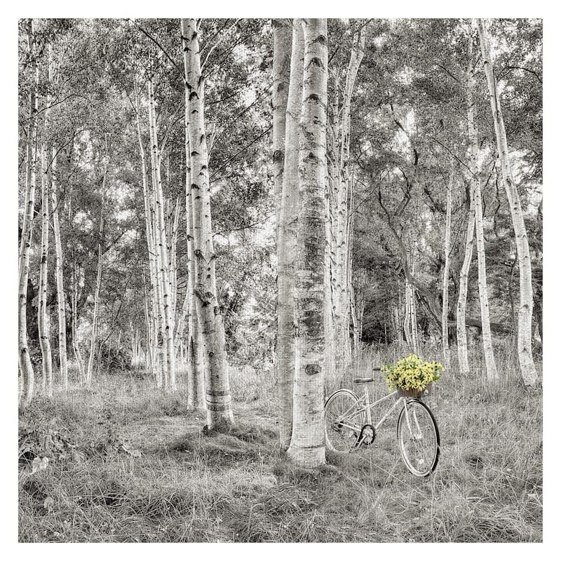 Sunflower Bicycle Ride by Alan Blaustein Canvas Art Print