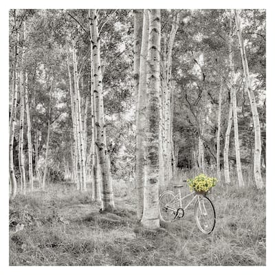 Sunflower Bicycle Ride by Alan Blaustein Canvas Art Print