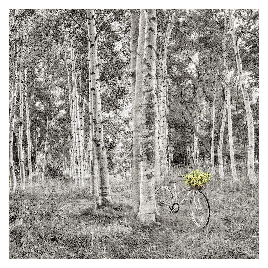 Sunflower Bicycle Ride by Alan Blaustein Canvas Art Print