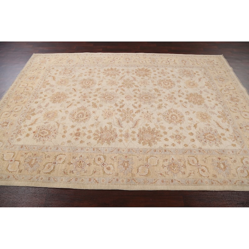 Vegetable Dye Chobi Peshawar Traditional Wool Area Rug Hand-knotted - 6'5" x 9'3"